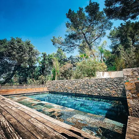Costa Ricaine Six-Fours-les-Plages